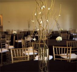 Gainesville Plantation Weddings