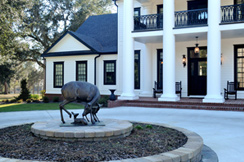 Tallahassee Plantation Weddings