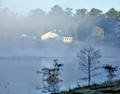 Tallahassee Plantation Weddings