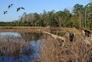 Southeast Plantation Weddings