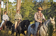 Horseback Riding